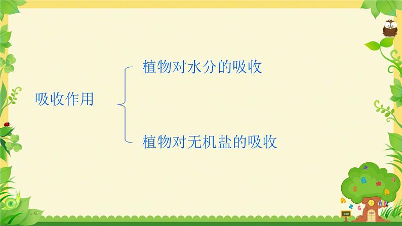 3.4.3 吸收作用 课件----2024-2025学年北师大(2024版)七年级生物上册02