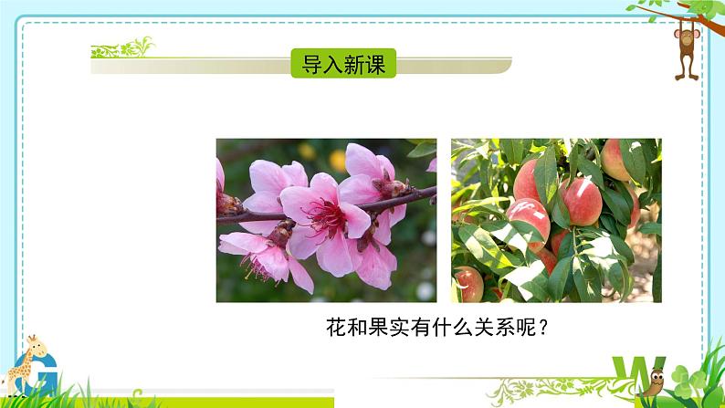 3.5.3 生殖器官的生长 课件--2024-2025学年北师大(2024版)七年级生物上册02