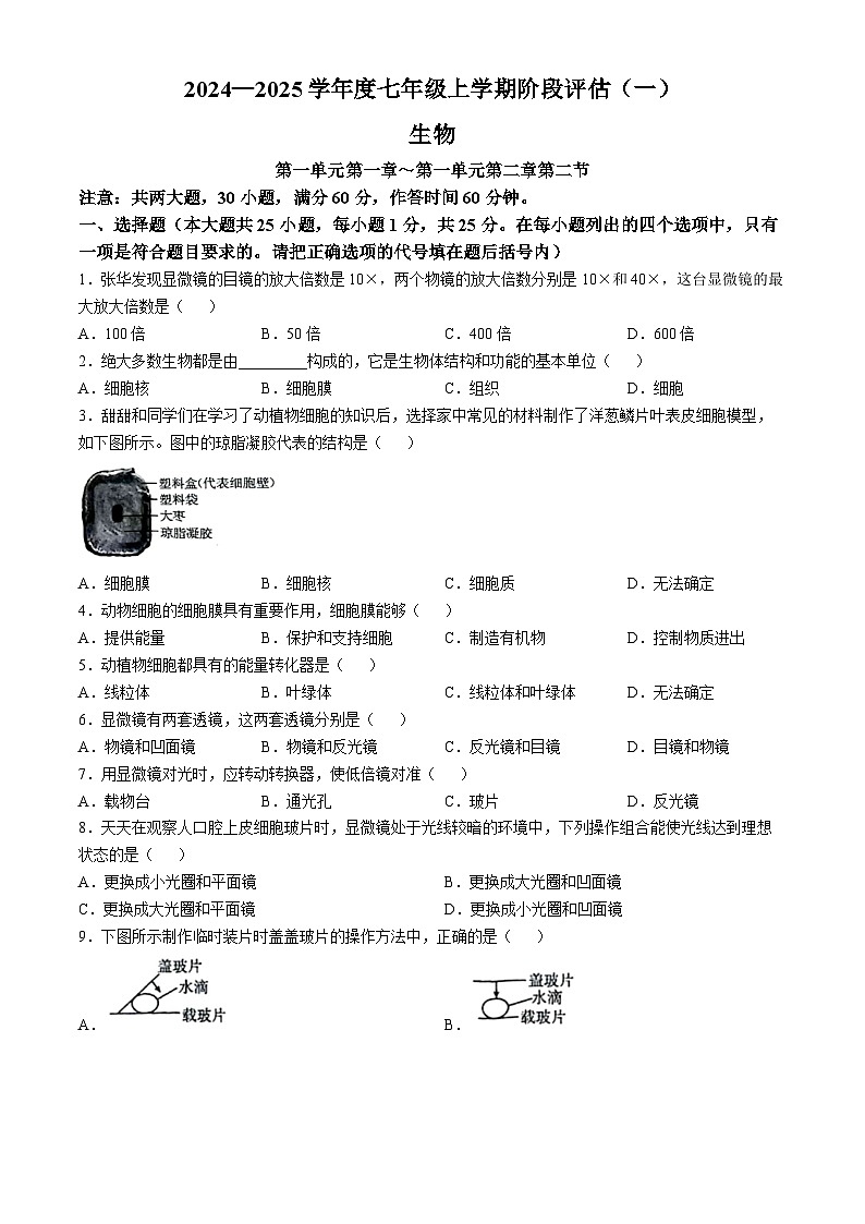 河北省邢台市任泽区多校2024-2025学年七年级上学期10月月考生物试题第1页