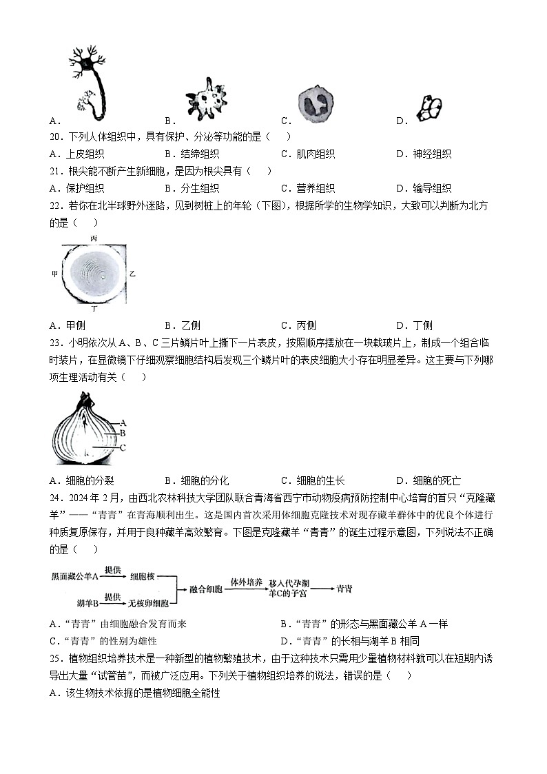 河北省邢台市任泽区多校2024-2025学年七年级上学期10月月考生物试题第3页