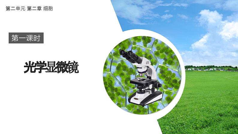2.1.1 光学显微镜 课件----2024-2025学年北师大(2024版)七年级生物上册第1页