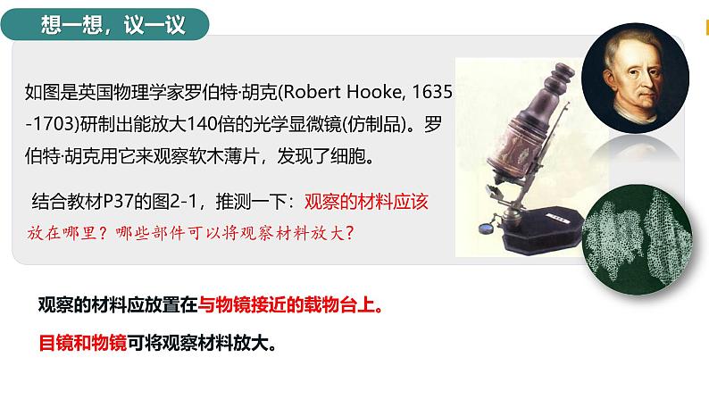 2.1.1 光学显微镜 课件----2024-2025学年北师大(2024版)七年级生物上册第3页