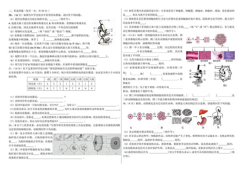 山东省德州市临邑县双语中学2024-2025学年七年级上学期10月月考生物试题(002)第2页