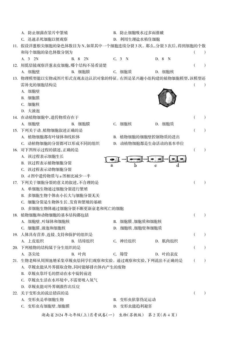 湖南省多校联考2024-2025学年七年级上学期月考卷(一)生物试题第2页
