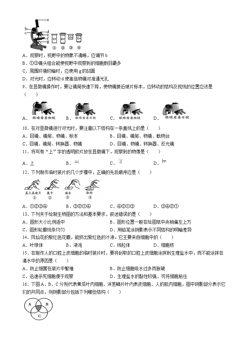 湖南省多校联考2024-2025学年七年级上学期月考卷(一)生物试题(人教)(无答案)02