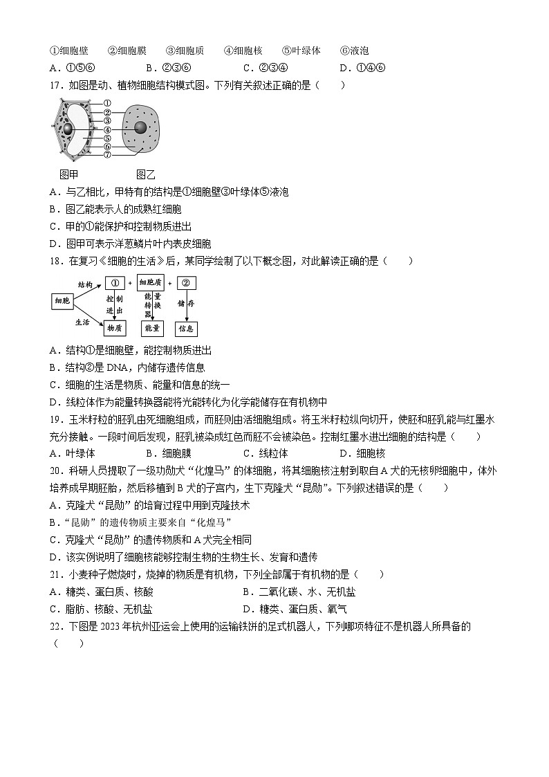 湖南省多校联考2024-2025学年七年级上学期月考卷(一)生物试题(人教)(无答案)03