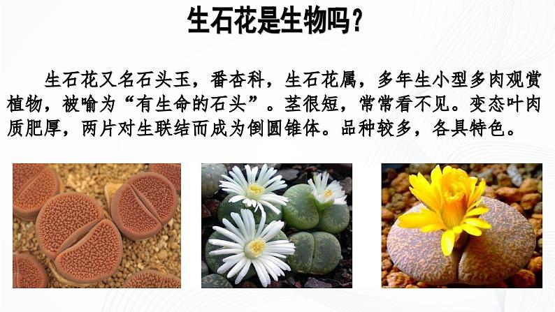 1.1.2 生物的特征-初中生物七年级上册 同步教学课件+教学设计(人教版2024)06
