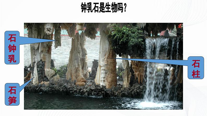 1.1.2 生物的特征-初中生物七年级上册 同步教学课件+教学设计(人教版2024)07