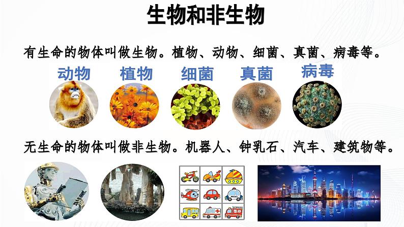 1.1.2 生物的特征-初中生物七年级上册 同步教学课件+教学设计(人教版2024)08