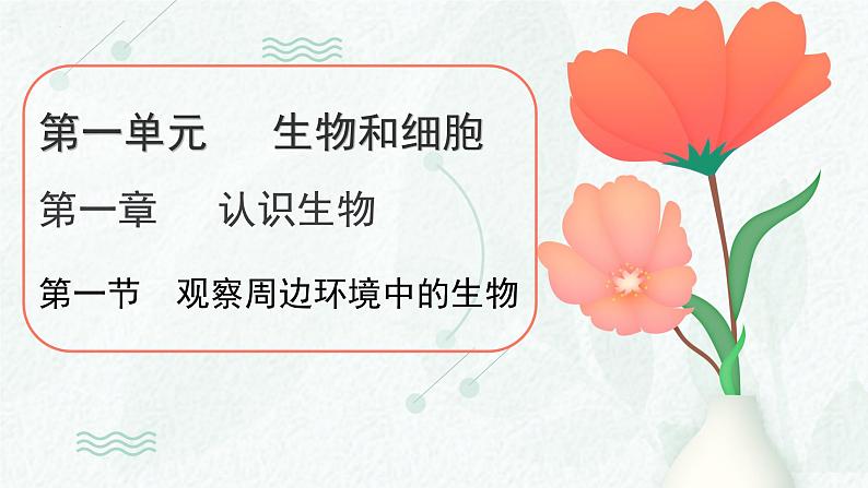 1.1.1观察周边环境中的生物课件---2024-2025学年人教版(2024)生物七年级上册01