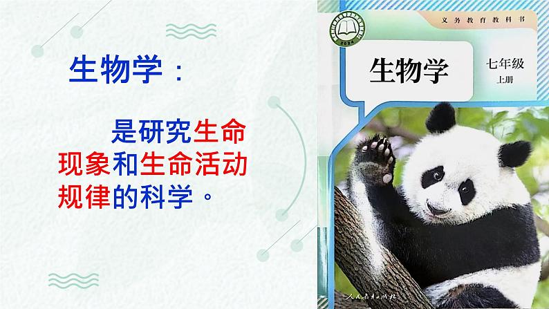 1.1.1观察周边环境中的生物课件---2024-2025学年人教版(2024)生物七年级上册03
