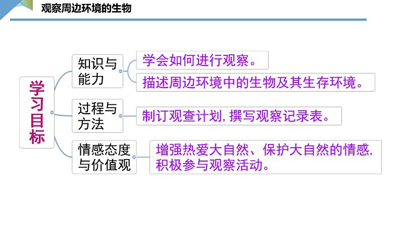 1.1.1观察周边环境中的生物课件---2024-2025学年人教版(2024)生物七年级上册04