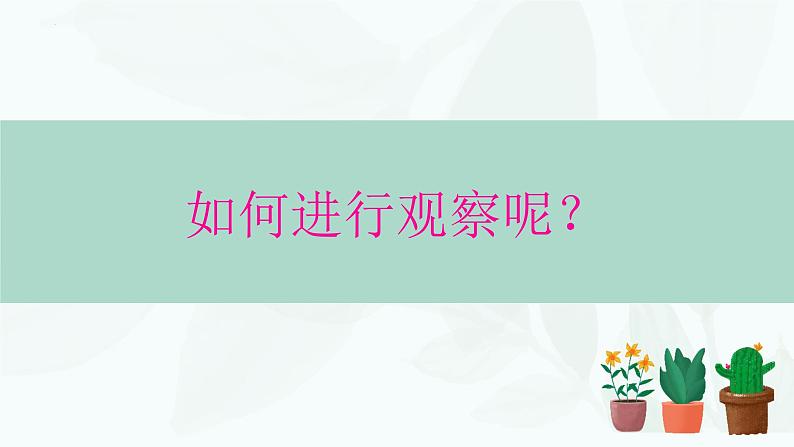 1.1.1观察周边环境中的生物课件---2024-2025学年人教版(2024)生物七年级上册08