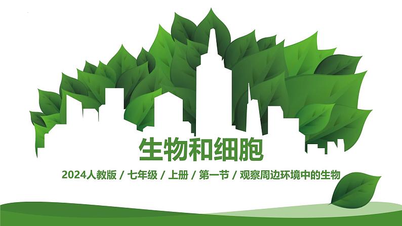 1.1.1观察周边环境中的生物课件--2024-2025学年人教版(2024)生物七年级上册第2页