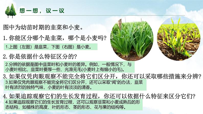 1.1.1观察周边环境中的生物课件--2024-2025学年人教版(2024)生物七年级上册第3页