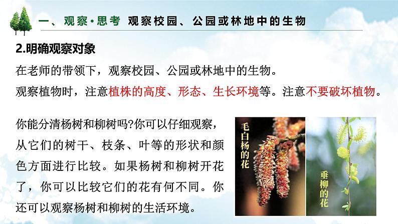 1.1.1观察周边环境中的生物课件--2024-2025学年人教版(2024)生物七年级上册第6页
