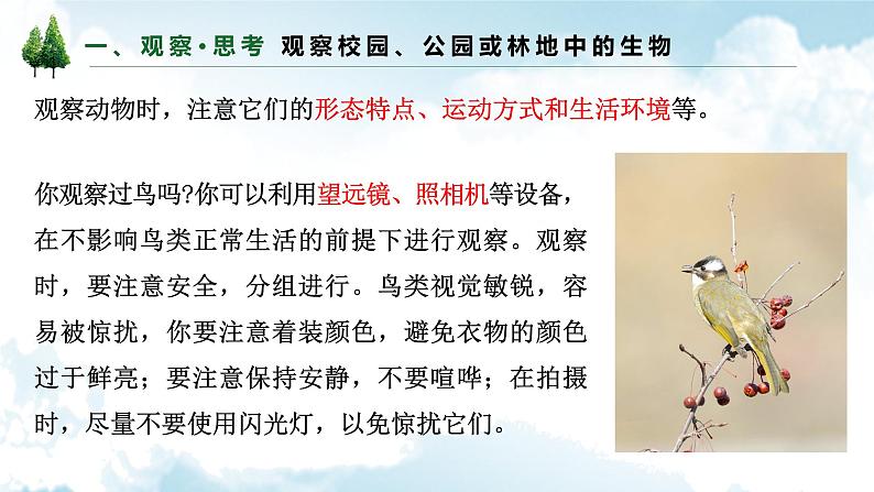 1.1.1观察周边环境中的生物课件--2024-2025学年人教版(2024)生物七年级上册第8页