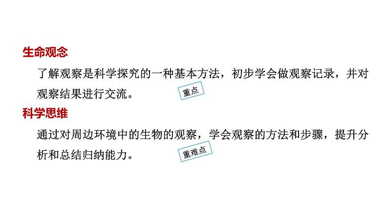1.1.1观察周边环境中的生物课件2024-2025学年人教版(2024)生物七年级上册02