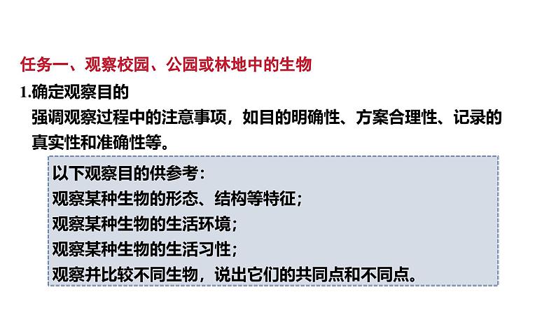 1.1.1观察周边环境中的生物课件2024-2025学年人教版(2024)生物七年级上册07