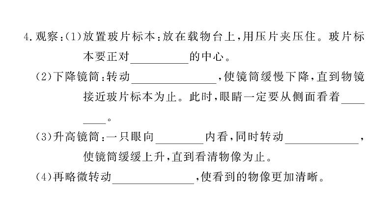 1.2.1学习使用显微镜习题课件--2024-2025学年人教版(2024)生物七年级上册第6页