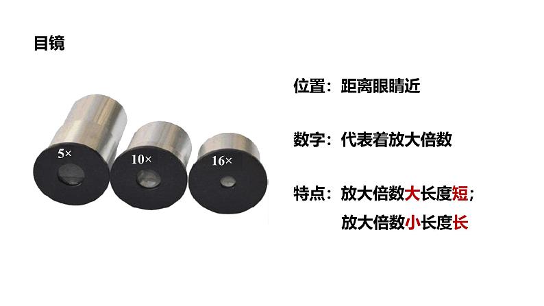1.2.1学习使用显微镜课件 2024-2025学年人教版(2024)生物七年级上册第8页