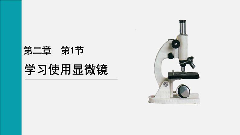 1.2.1学习使用显微镜课件--2024-2025学年人教版(2024)生物七年级上册第1页