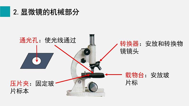 1.2.1学习使用显微镜课件--2024-2025学年人教版(2024)生物七年级上册第6页