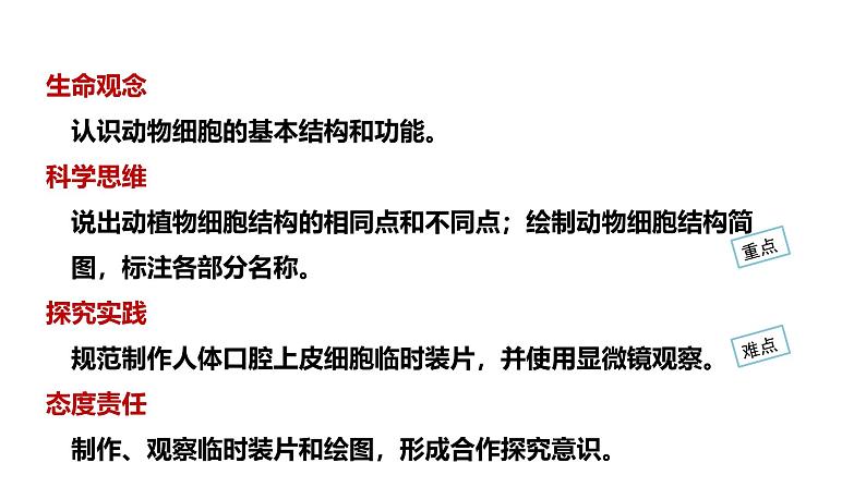 1.2.3动物细胞课件--2024-2025学年人教版(2024)生物七年级上册02