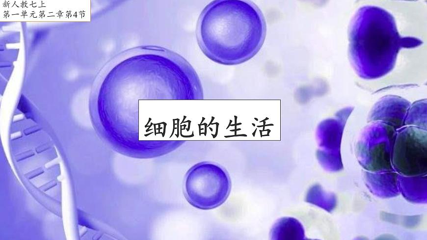 1.2.4 細(xì)胞的生活課件--2024-2025學(xué)年人教版(2024)生物七年級(jí)上冊(cè)第1頁