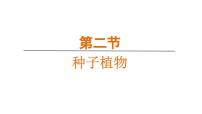 人教版（2024）七年级上册（2024）第二节 种子植物图文ppt课件