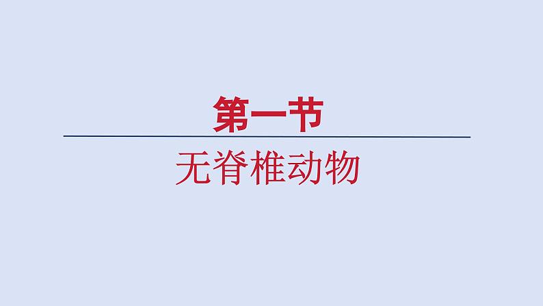 2.2.1无脊椎动物课件--2024-2025学年人教版(2024)生物七年级上册01