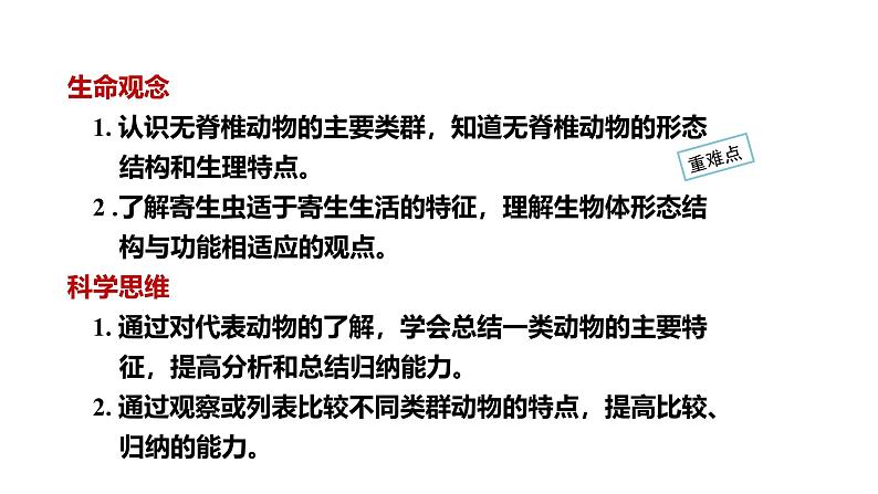 2.2.1无脊椎动物课件--2024-2025学年人教版(2024)生物七年级上册02