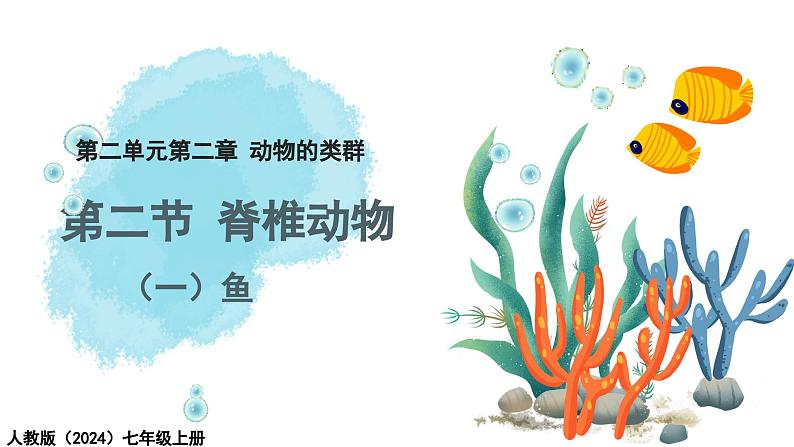 2.2.2脊椎动物——(一)鱼 课件--2024-2025学年人教版(2024)生物七年级上册第1页