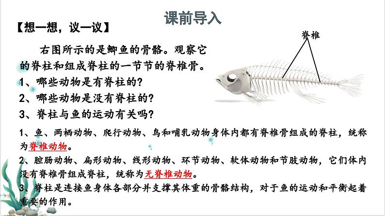 2.2.2脊椎动物——(一)鱼 课件--2024-2025学年人教版(2024)生物七年级上册第3页