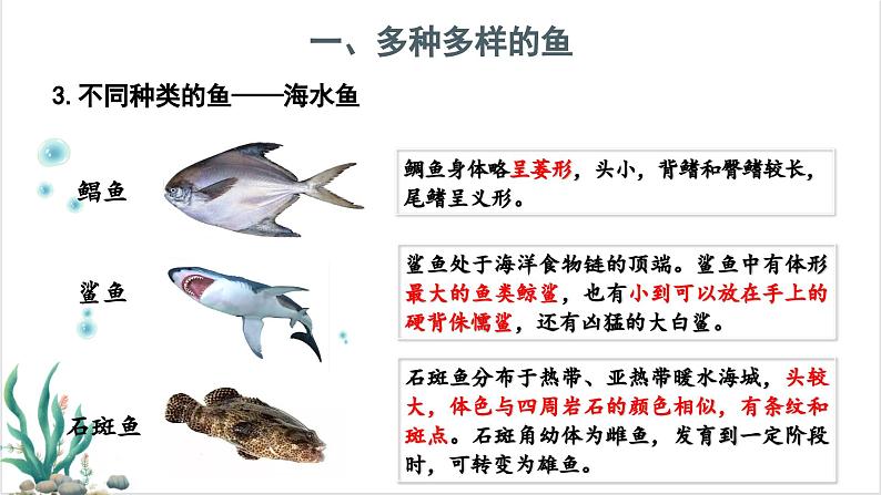 2.2.2脊椎动物——(一)鱼 课件--2024-2025学年人教版(2024)生物七年级上册第8页