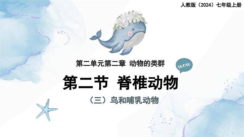 2.2.2脊椎动物——(三)鸟和哺乳动物课件--2024-2025学年人教版(2024)生物七年级上册01