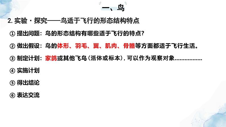 2.2.2脊椎动物——(三)鸟和哺乳动物课件--2024-2025学年人教版(2024)生物七年级上册06