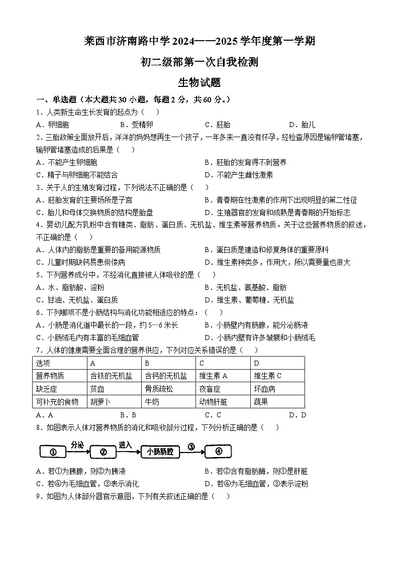 山东省青岛市莱西市济南路中学2024-2025学年七年级上学期10月月考生物试题(无答案)第1页