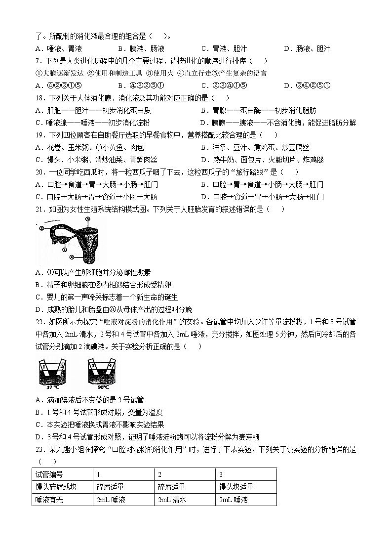 山东省青岛市莱西市济南路中学2024-2025学年七年级上学期10月月考生物试题(无答案)第3页