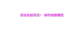 综合实践项目1　制作细胞模型课件---2024-2025学年人教版（2024）生物七年级上册