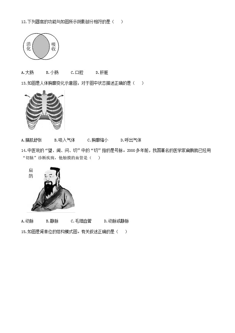 山东省济宁市泗水县2023-2024学年八年级下学期期末考试生物试题(无答案)03