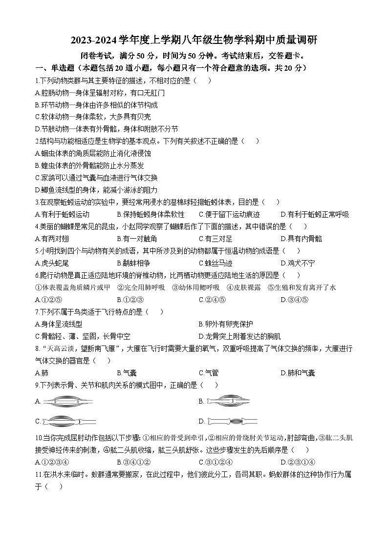 吉林省长春市东北师范大学附属中学新城校区2023-2024学年八年级上学期期中生物试题第1页