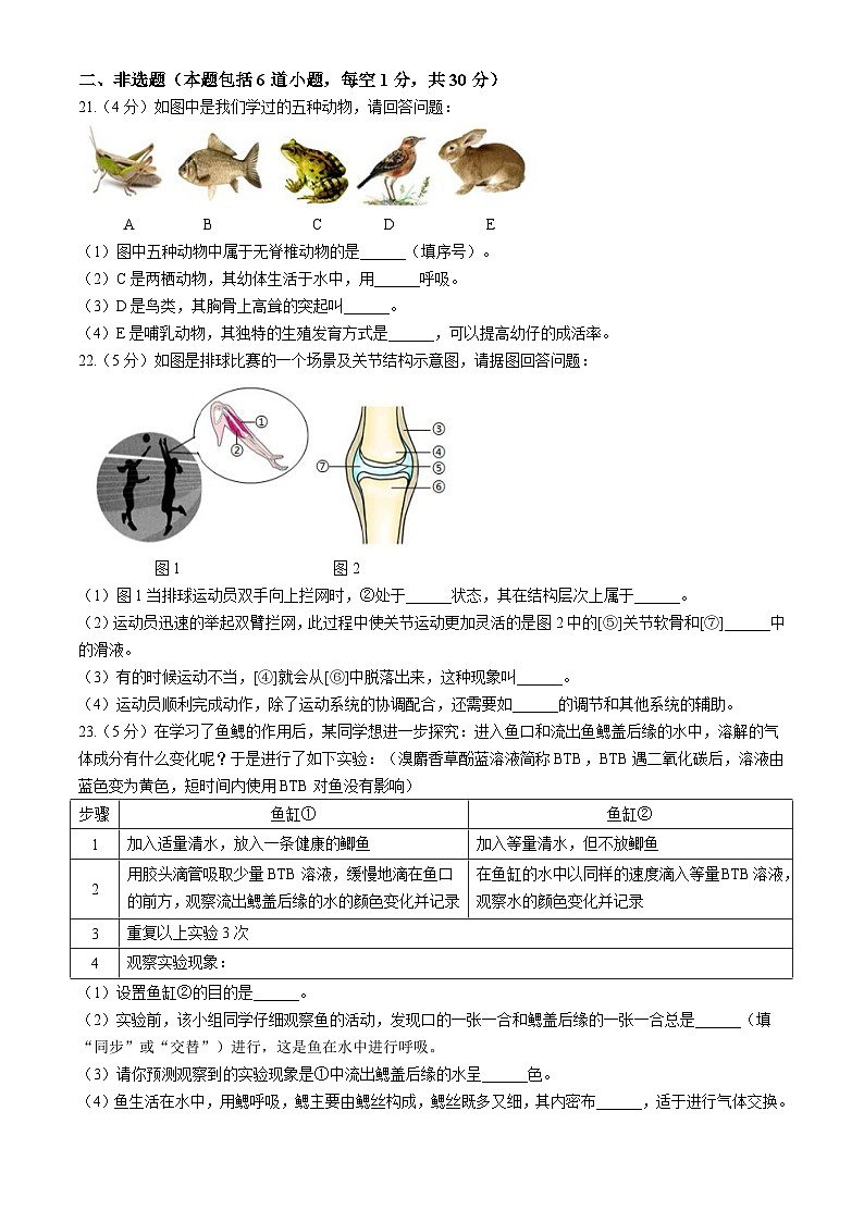 吉林省长春市东北师范大学附属中学新城校区2023-2024学年八年级上学期期中生物试题第3页
