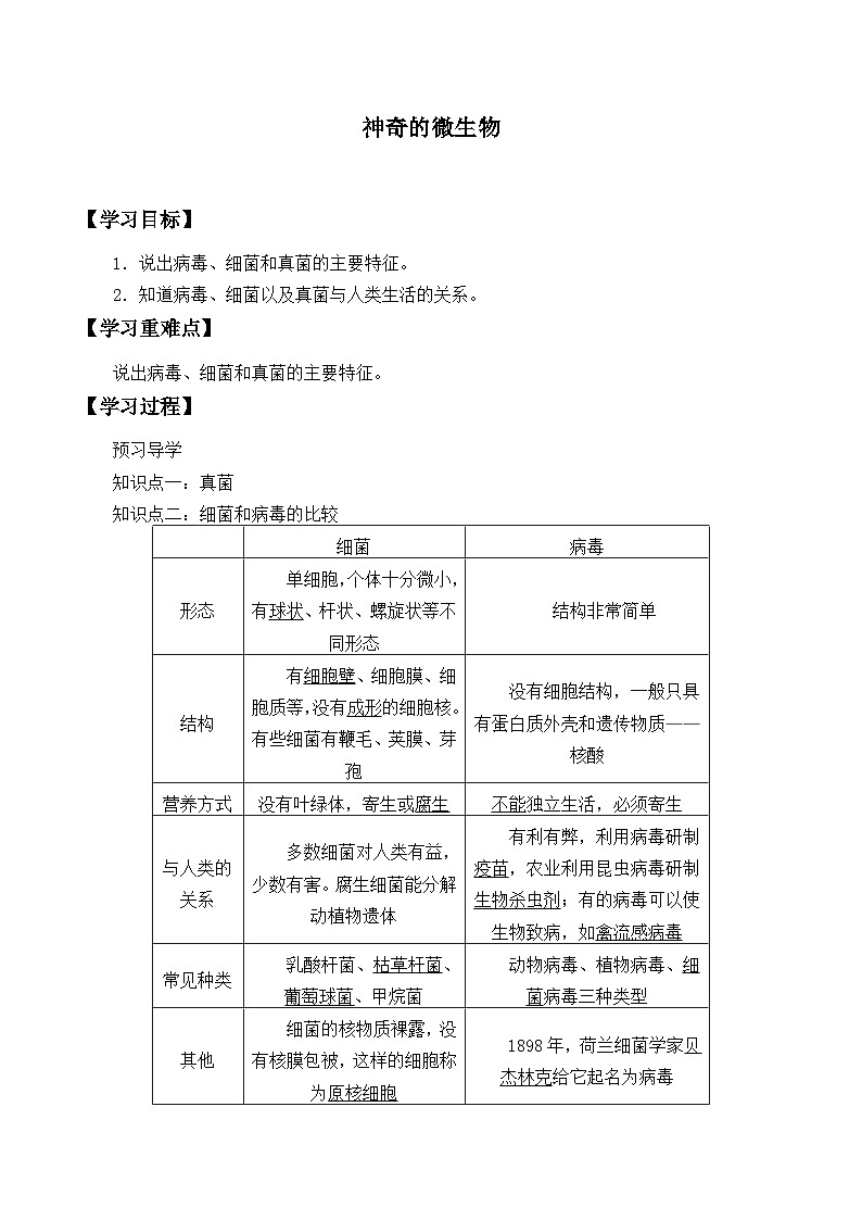 苏教版生物八年级上册14.3神奇的微生物_学案1第1页
