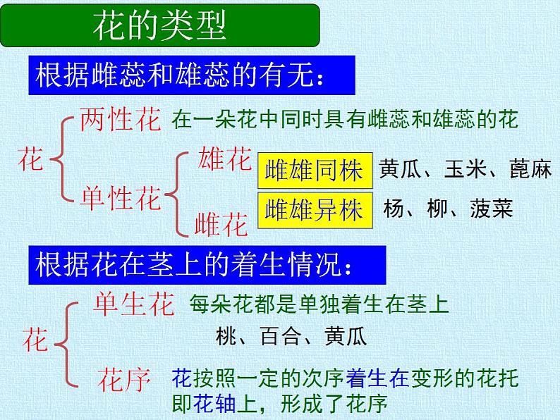济南版生物八年级上册1绿色开花植物的一生 复习课件第4页