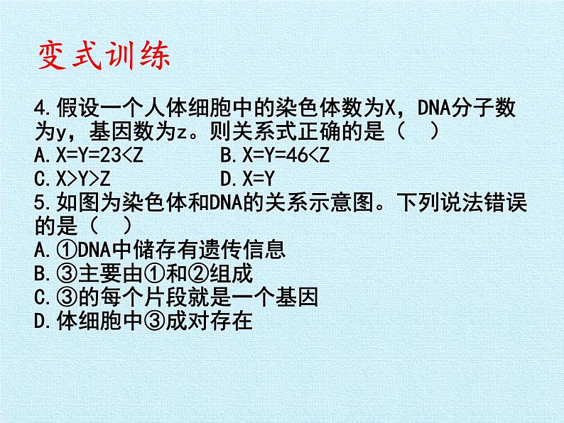 济南版生物八年级上册4 生物的遗传与变异 复习课件07
