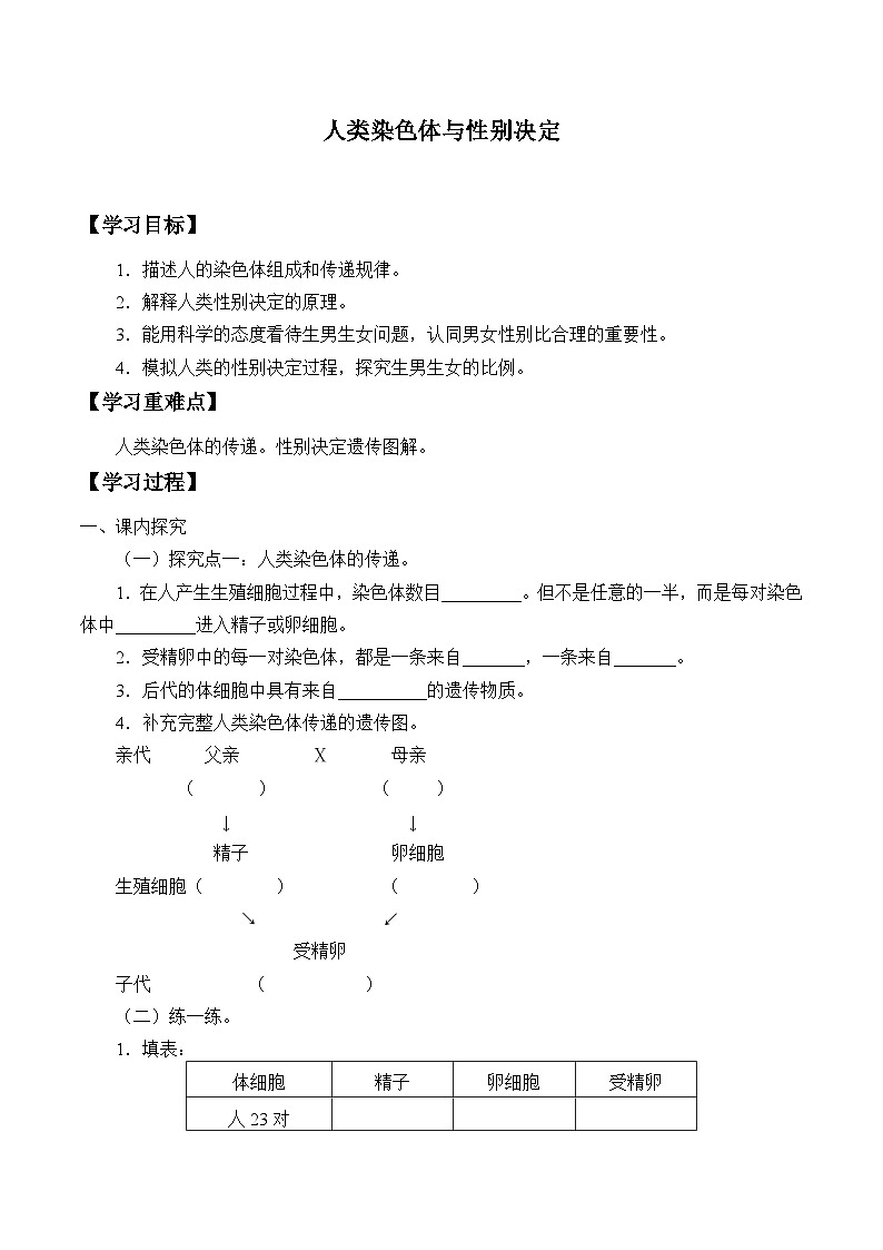 济南版生物八年级上册 人类染色体与性别决定_学案101