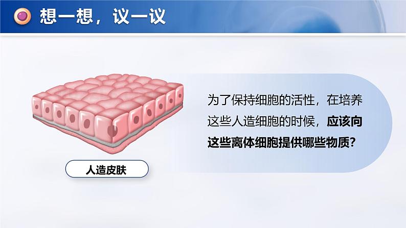 1.2.4 细胞的生活-课件第4页