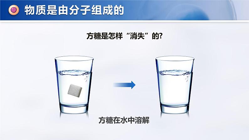 1.2.4 细胞的生活-课件第7页