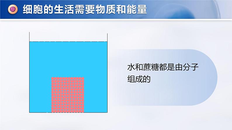 1.2.4 细胞的生活-课件第8页